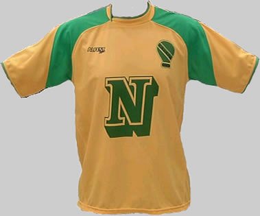 Camiseta oficial fabricada por Alfest Sport